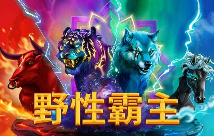 云开全站app网页版官方入口